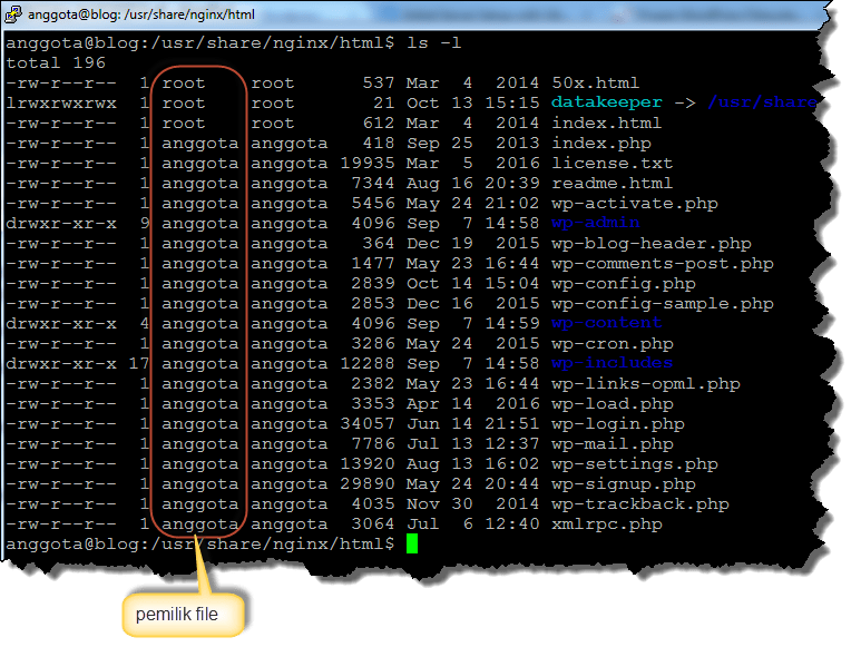 daftar-file-wordpress-di-nginx