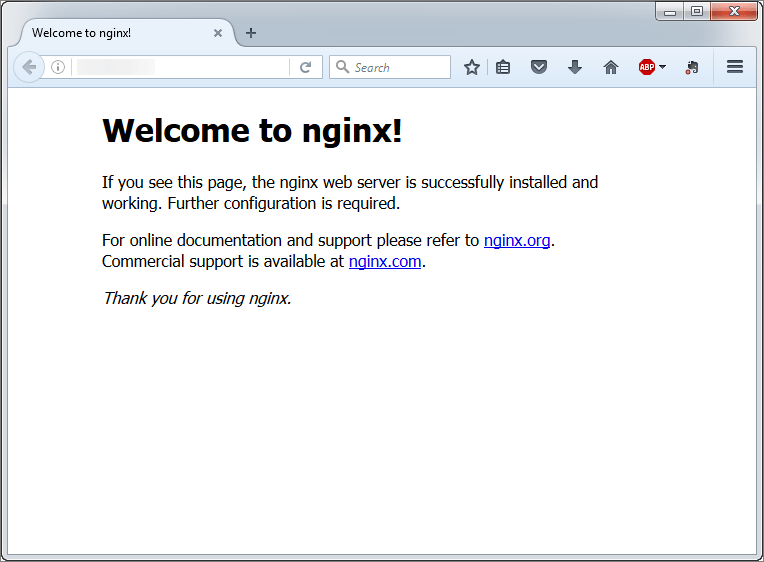 install-nginx-berhasil