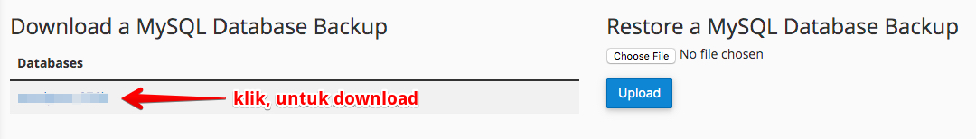 download-backup-database