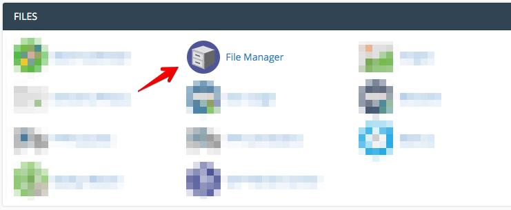 File Manager